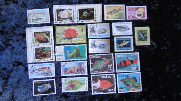 ANIMAIS MARINHOS (PEIXES, FOCAS, ETC...) - TEMÁTICOS - 22 SELOS DIFERENTES, MAIORIA GRANDES, VEJA TO