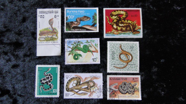 COBRAS (DIVERSOS PAÍSES) - TEMÁTICOS - 08 SELOS, TEMA DIFÍCIL DE APARECER - MAIORIA GRANDES, LINDOS