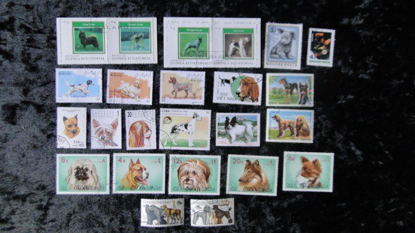 CACHORROS -TEMÁTICOS - 24 SELOS DIFERENTES, DIVERSOS PAÍSES, LINDOS, RARIDADES - MAIORIA GRANDES -BO