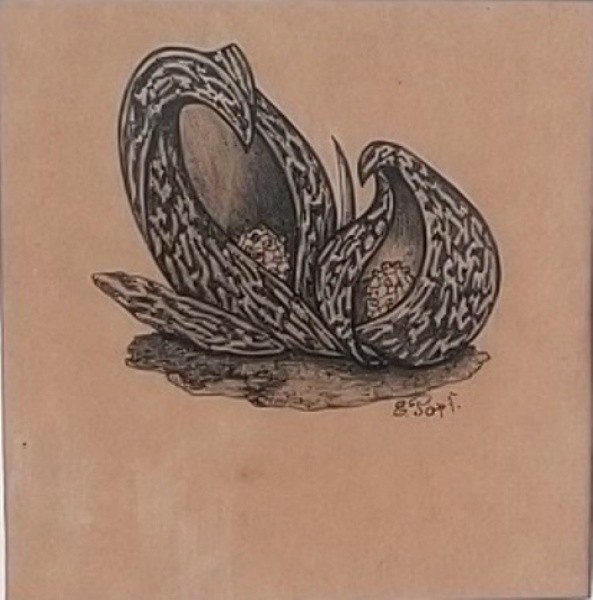 KARL ERNEST PAPF (1838 - 1910) Título: Planta Técnica: desenho a nanquim Medidas: 12 x 12 cm Assinat