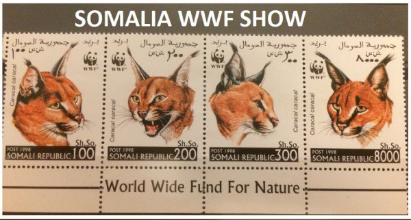 SOMÁLIA - SELOS BELISSIMOS DE PRESERVAÇÃO DA FAUNA EM EXTINÇÃO WWF - SELOS EM ESTADO MINT DE CONSERV