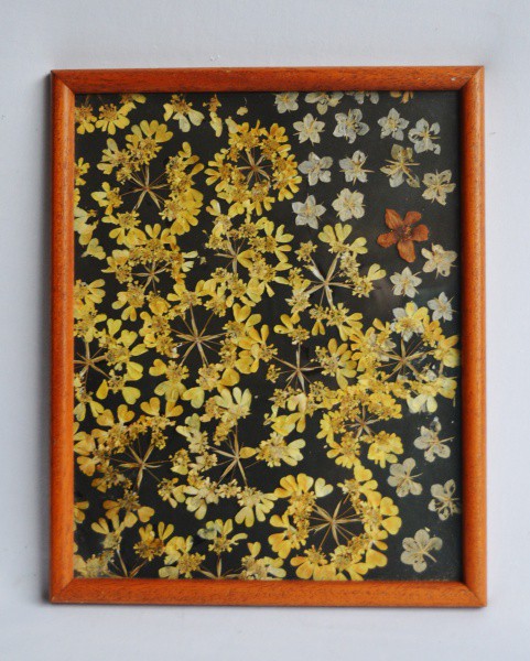 Antigo quadro de florais feito com flores e folhas naturais. Medida 32x26cm.