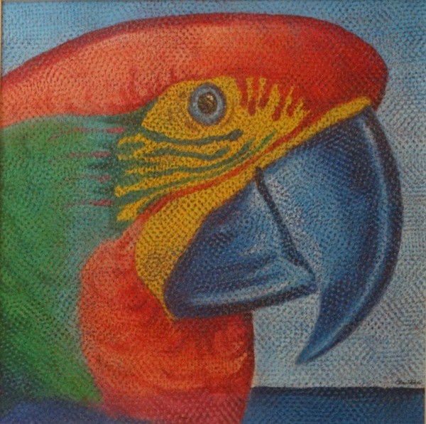 CLAUDIO TOZZI. Papagalia - a.s.t. - 40 x 40 cm - assinado no cid.