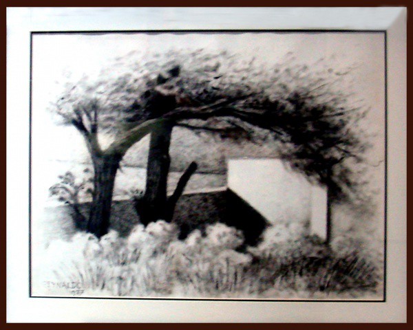 Reynaldo Fonseca - Pincel seco sobre cartão 50x64cm - 18233