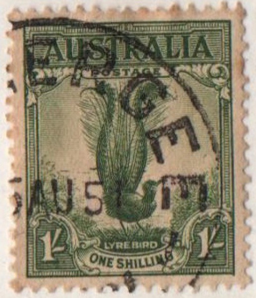 Filatelia: Selo Clássico da Austrália - Lyre Bird. 1932. MBC