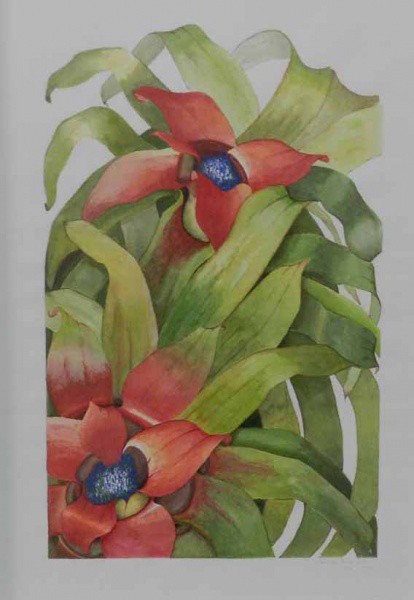 Carolina Gallinal, Flores, Gravura, medindo 50 cm x 37 cm. EMOLDURADO