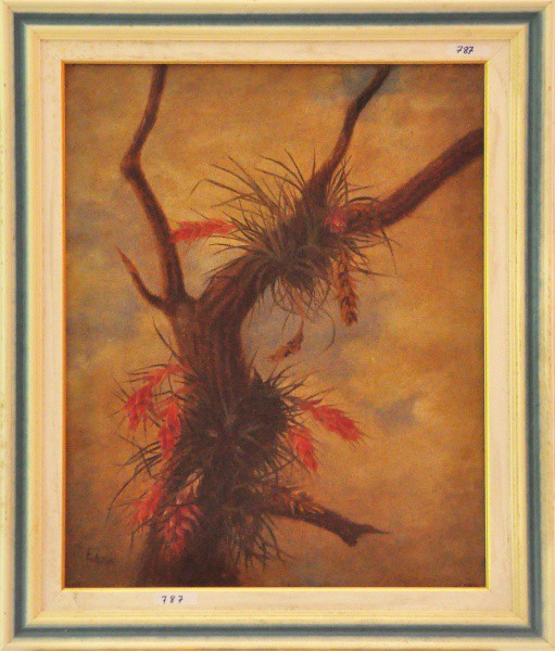 EHRKE - ost ( Bromélia ) med: 56 x 42,5 cm.