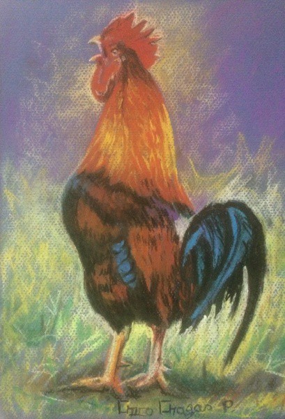 AM044, CHICO CHAGAS, pastel sobre cartão, representando galo, medindo 21 x 29 cm. Sem moldura.