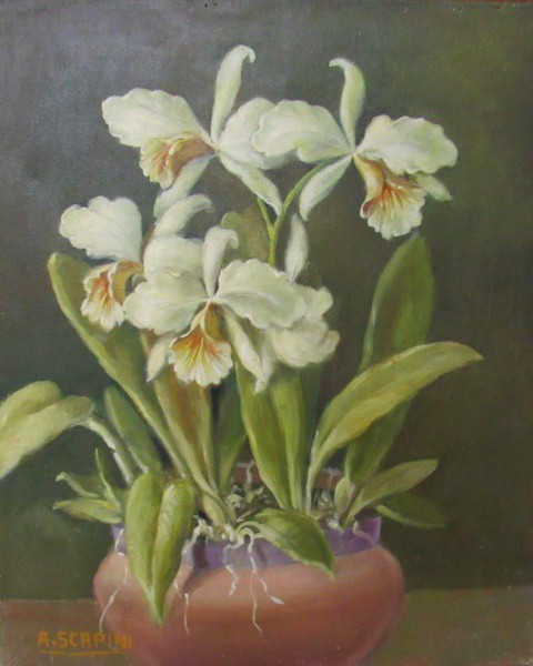 O.S.T. - 46 x 38 cm Flores ass. A. SCAPINI - sem moldura
