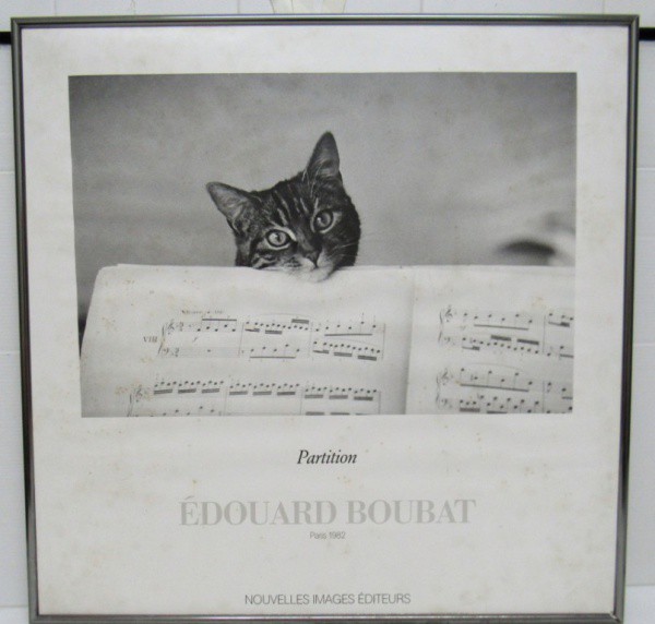 Poster 50 x 50 cm Gato