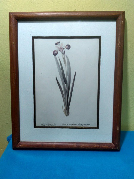 Reprodução 40 X 30.