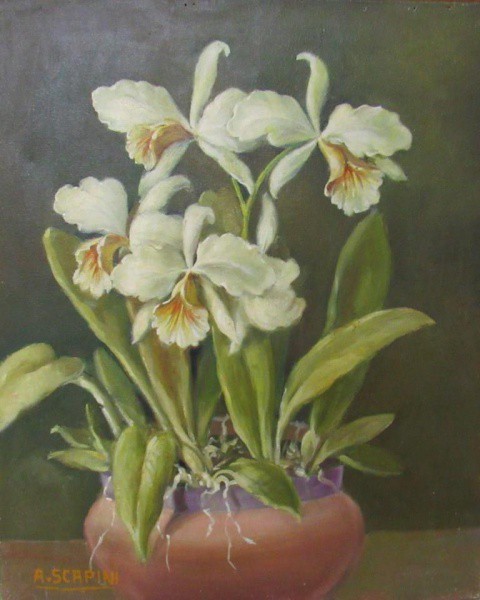 O.S.T. - 46 x 38 cm Flores ass. A. SCAPINI - sem moldura