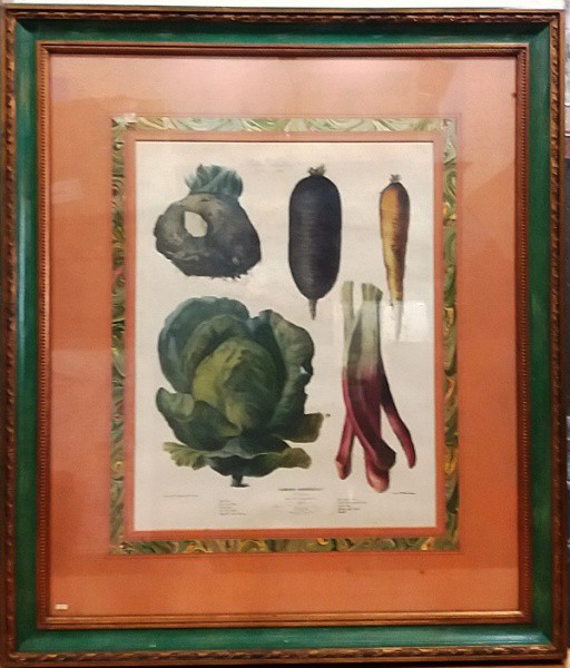 Gravura Francesa de legumes - `Vilmorin Andrieus & Cie` medida total com moldura aprox. 1,04 x 90 cm