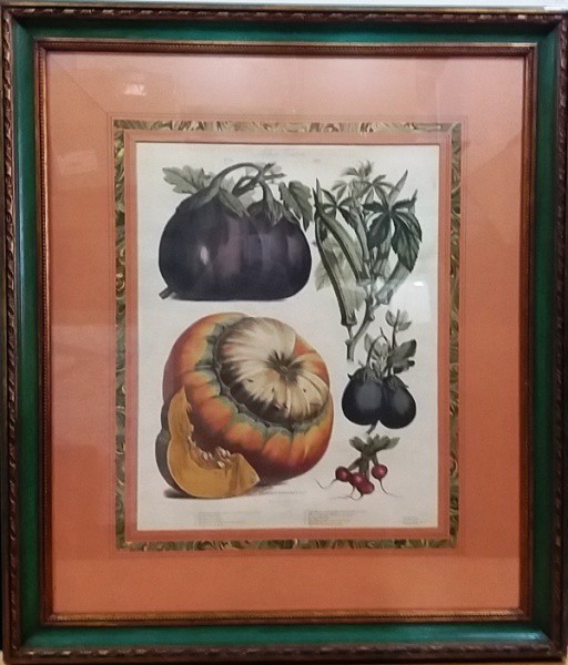 Gravura Francesa de legumes - `Vilmorin Andrieus & Cie` medida total com moldura aprox. 1,04 x 90 cm