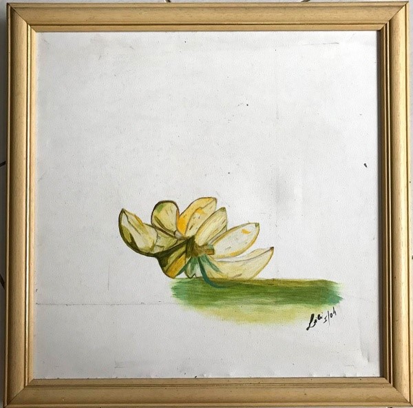 Lli - Flor Amarela O.s.t - Med 55 X 55 Cm.
