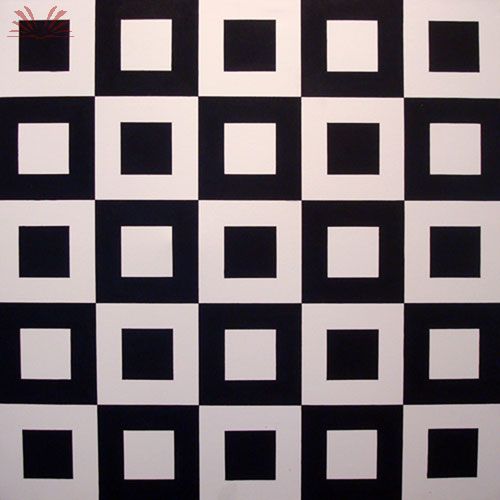 Preto e Branco - F. Gomes