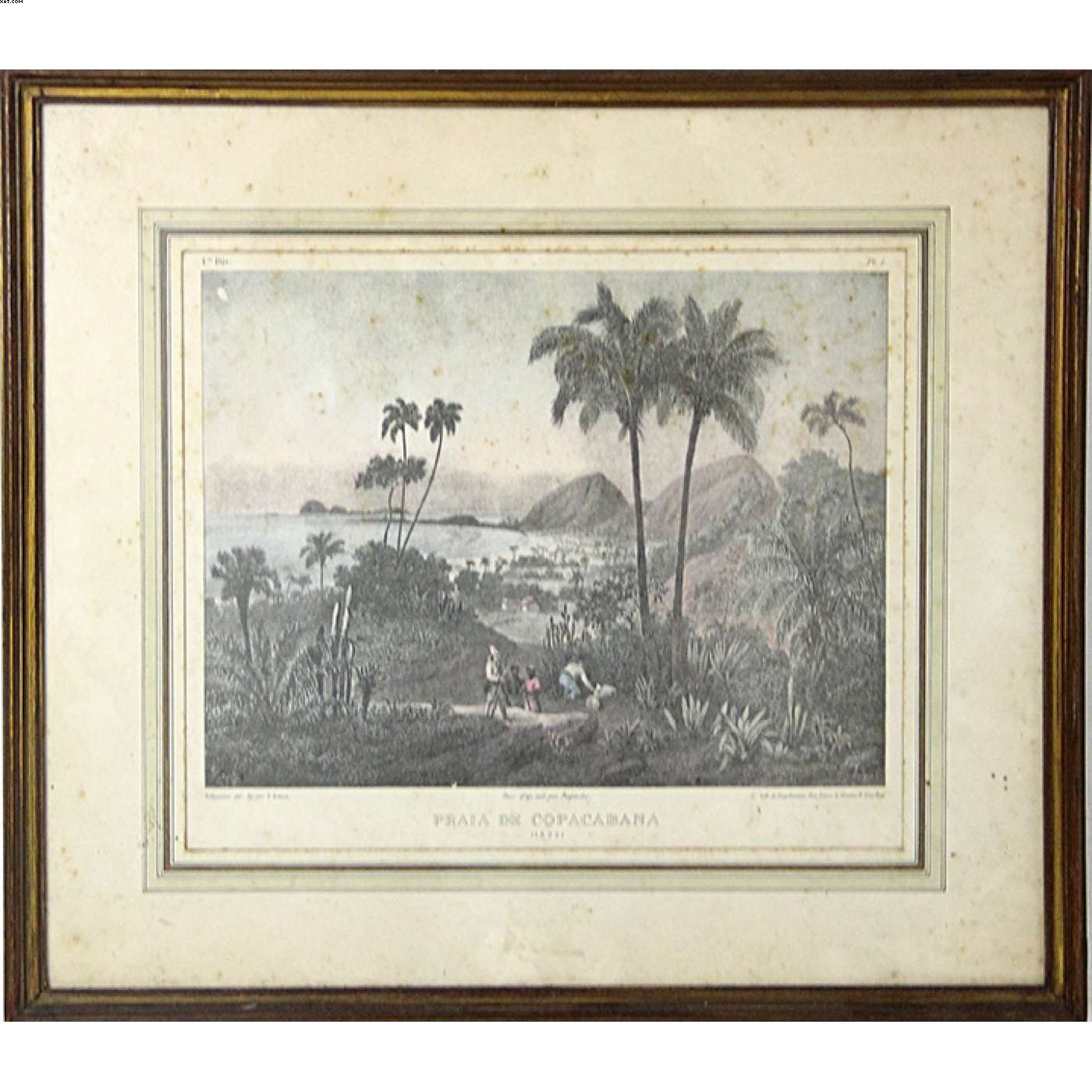 Gravura antiga aquarelada