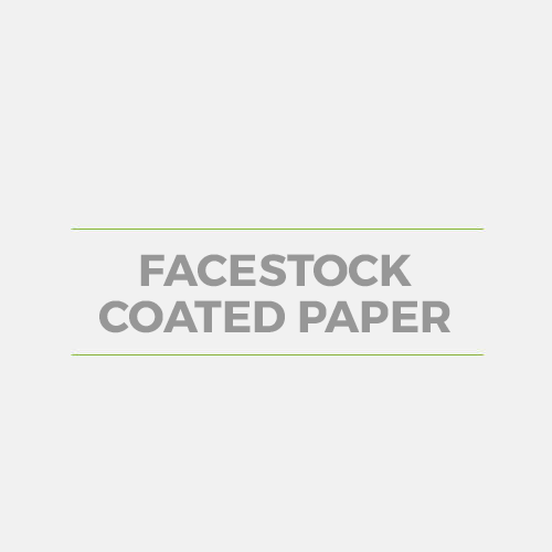 Facestock Coated Paper