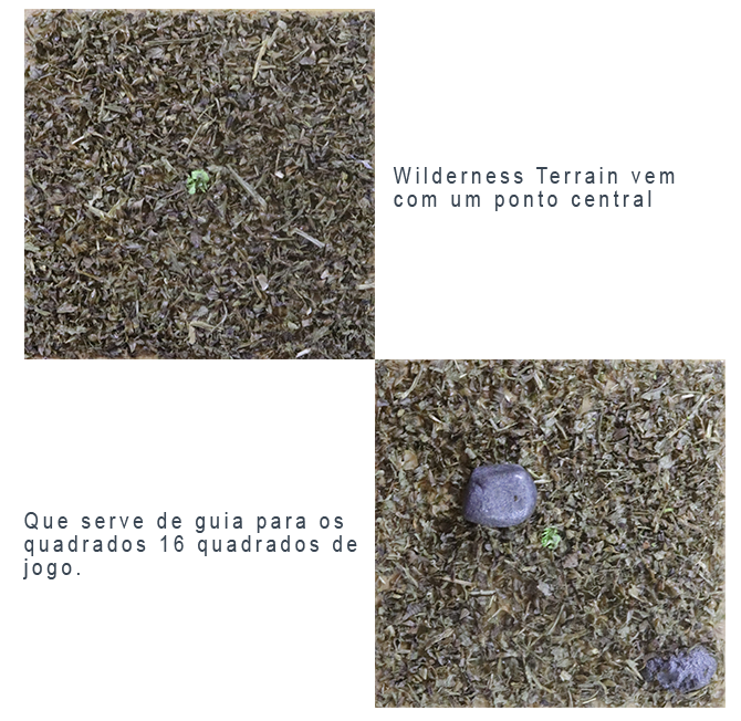 https://s3-sa-east-1.amazonaws.com/cdn.br.catarse/uploads/redactor_rails/picture/data/197727/tiles_para_catarse-1.png
