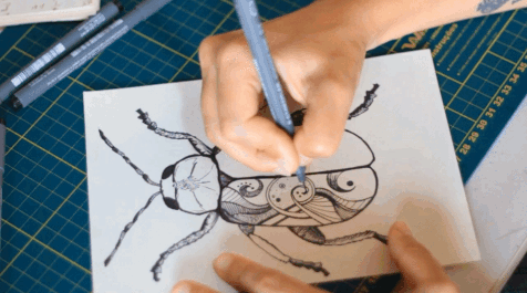 gif: eu desenhando com caneta nanquim um besouro com rabiscos abstrados nas costas