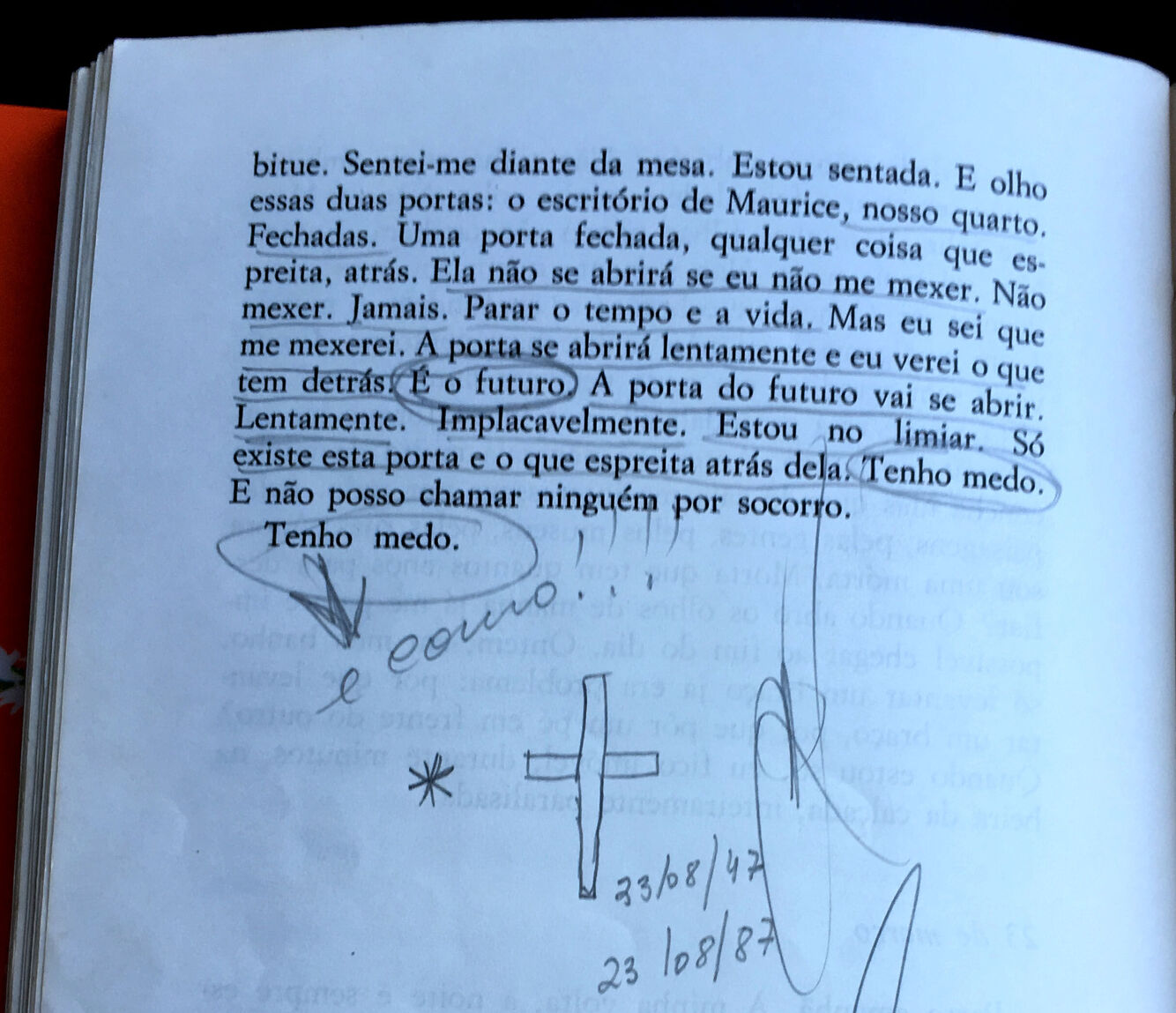 A mulher rabiscada rabiscada 2