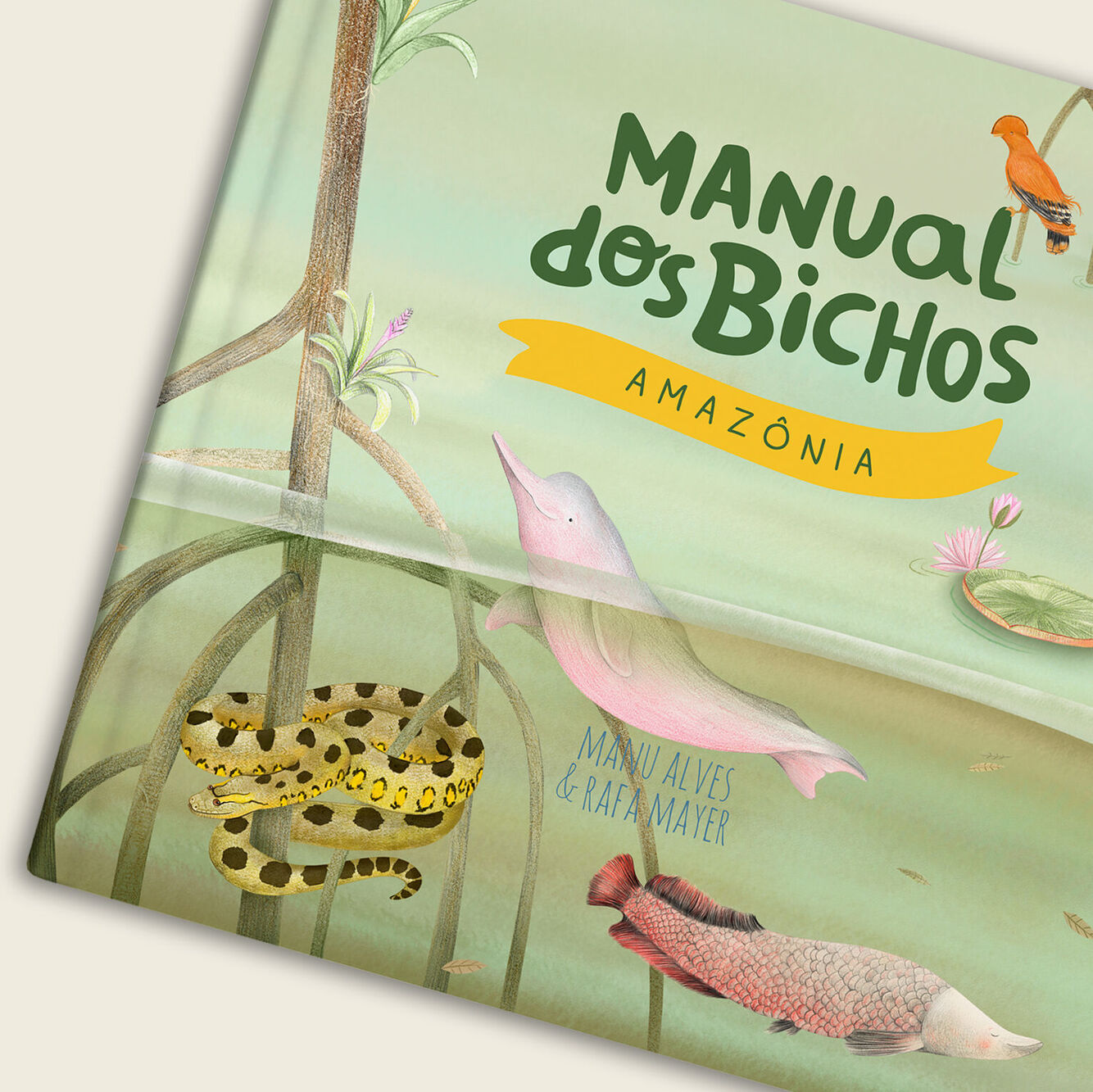 Manual dos Bichos: Amazônia | Catarse