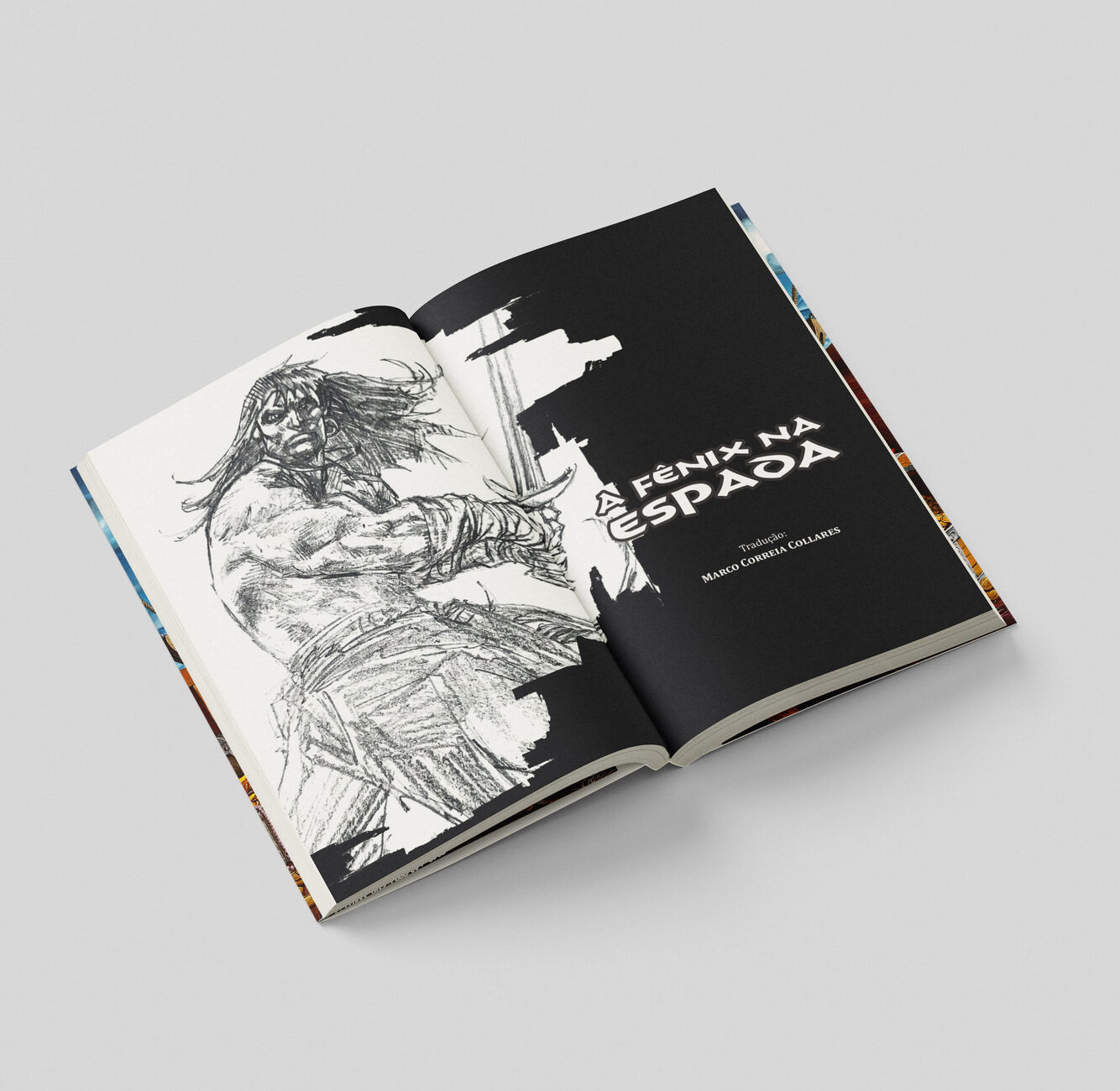 Aberturas ilustradas por artistas do nosso time. No exemplo, uma ilustração exclusiva do mestre Mozart Couto.