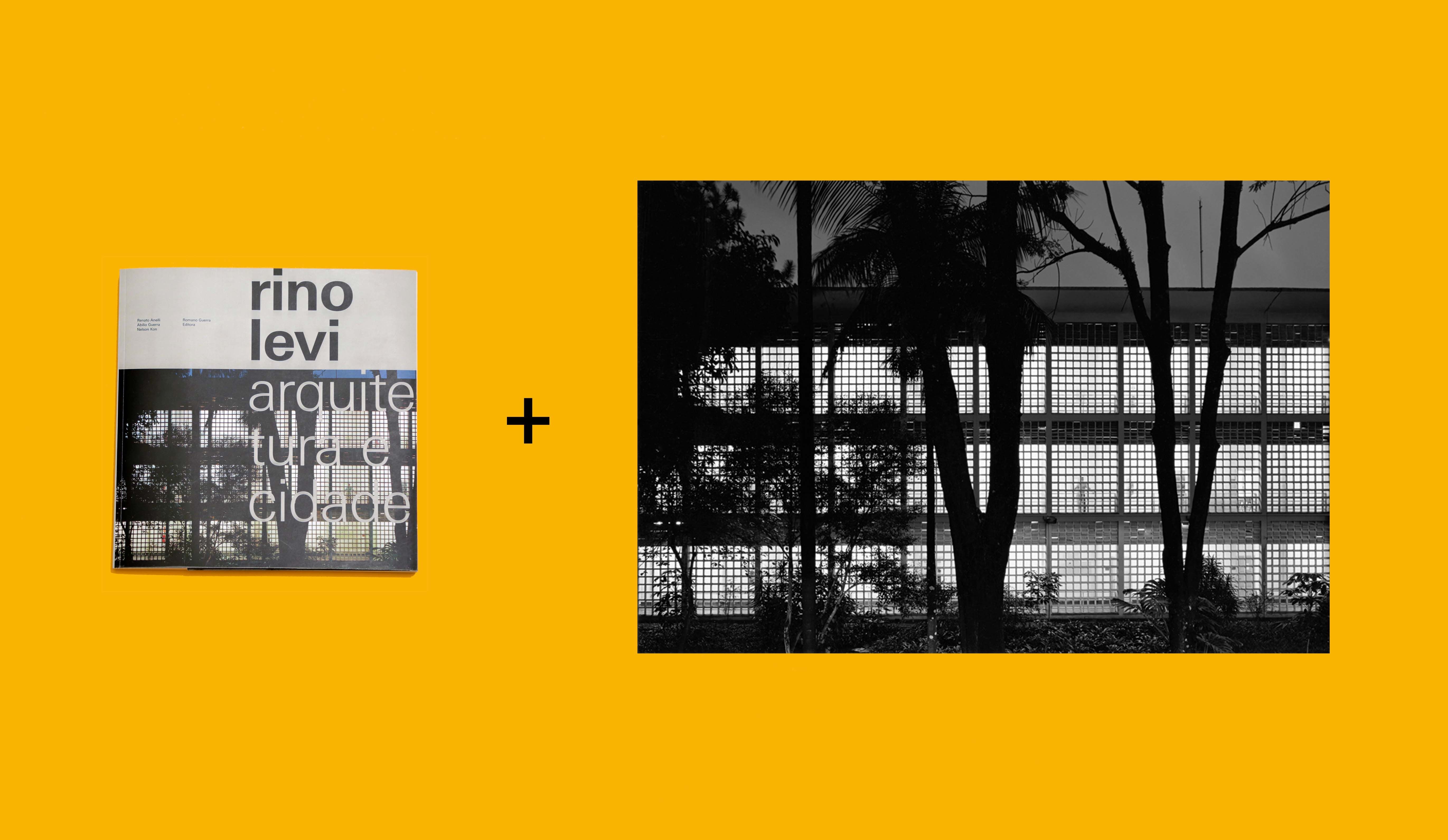 Amigo do Projeto_B: 1 livro RINO LEVI + FOTO Sedes Sapientiae de Nelson Kon + FRETE