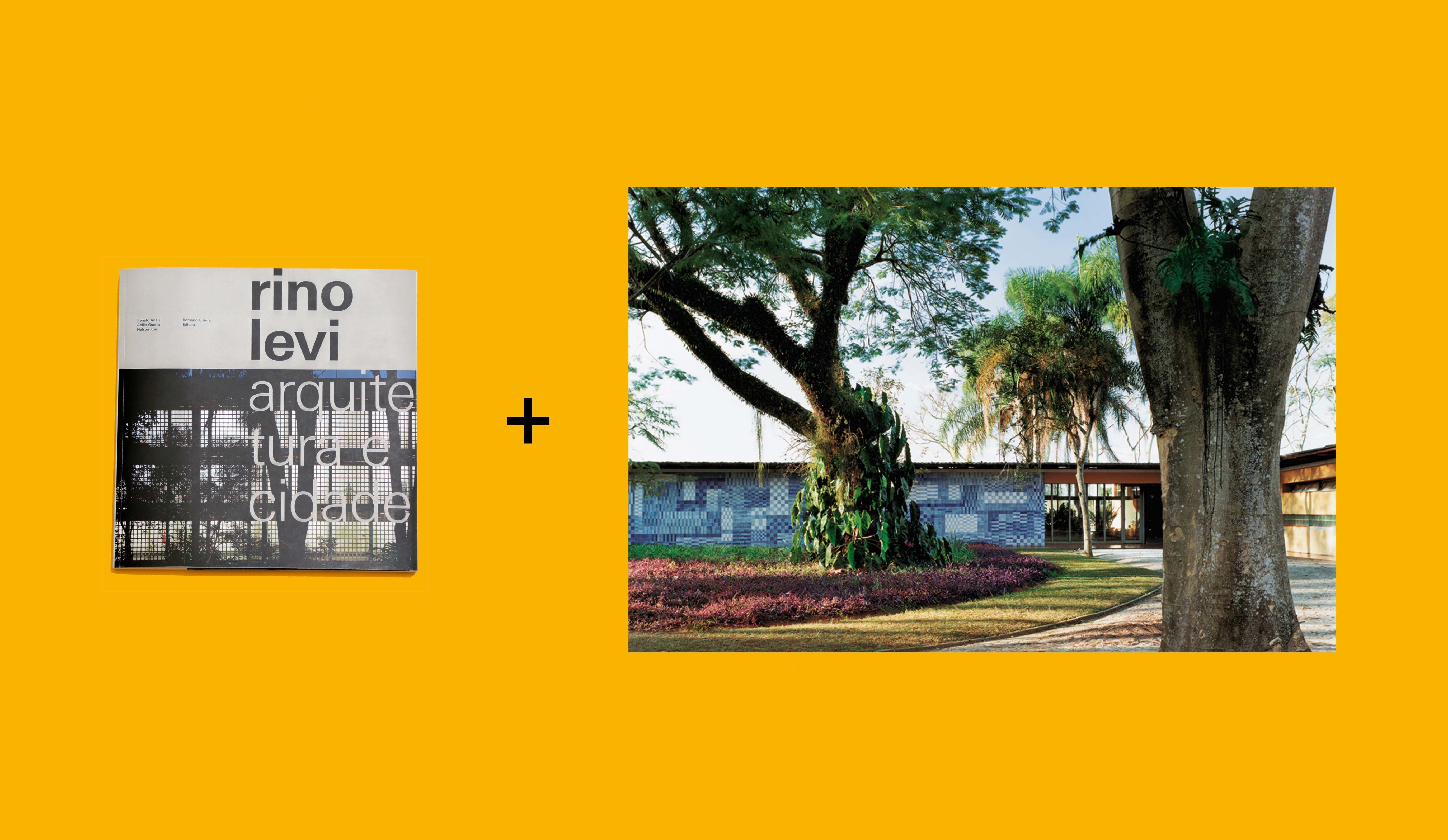 Amigo do Projeto_C: 1 livro RINO LEVI + FOTO Residência Olivo Gomes de Nelson Kon + FRETE