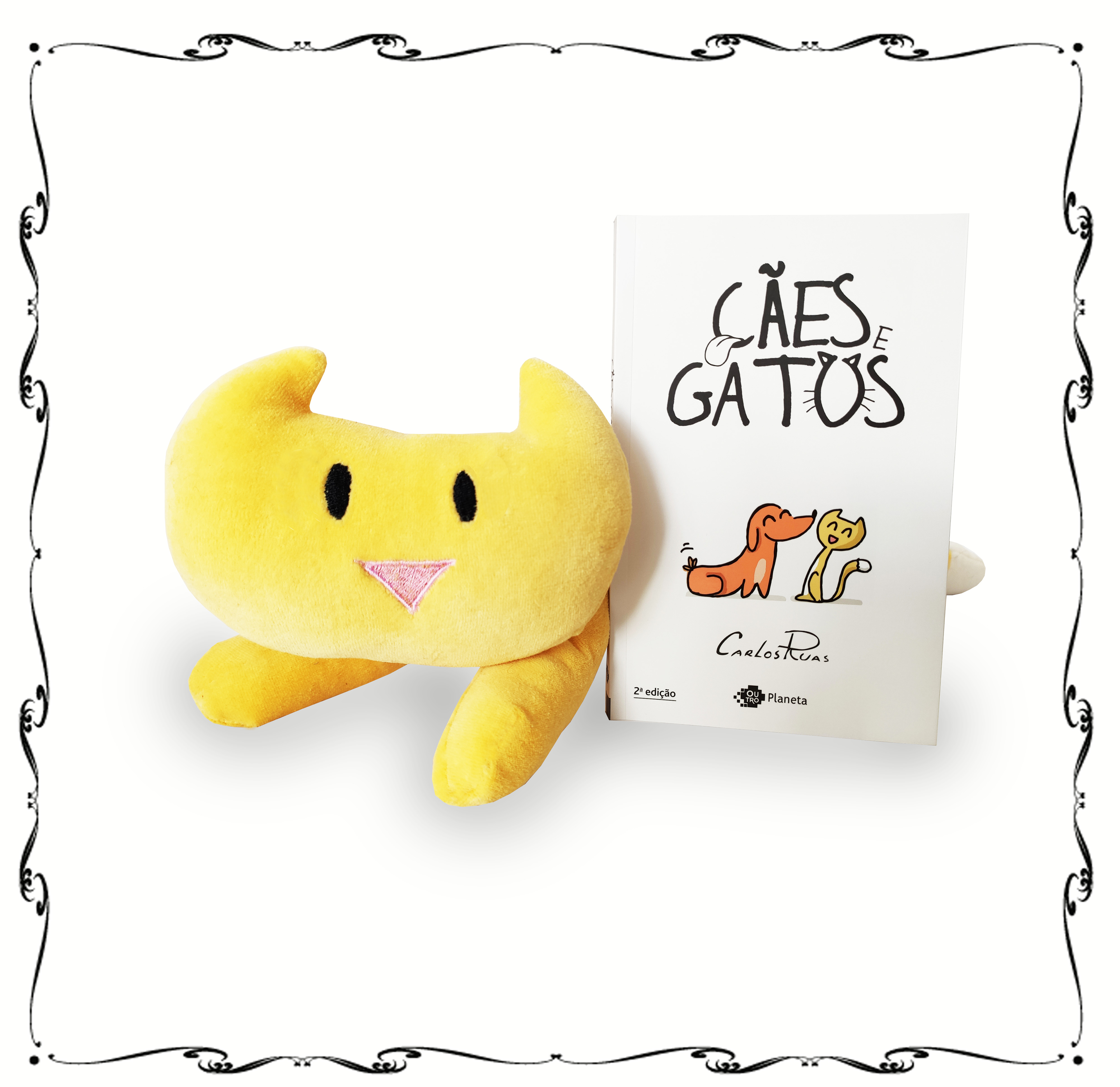 Kit 2 - Gato e Livro