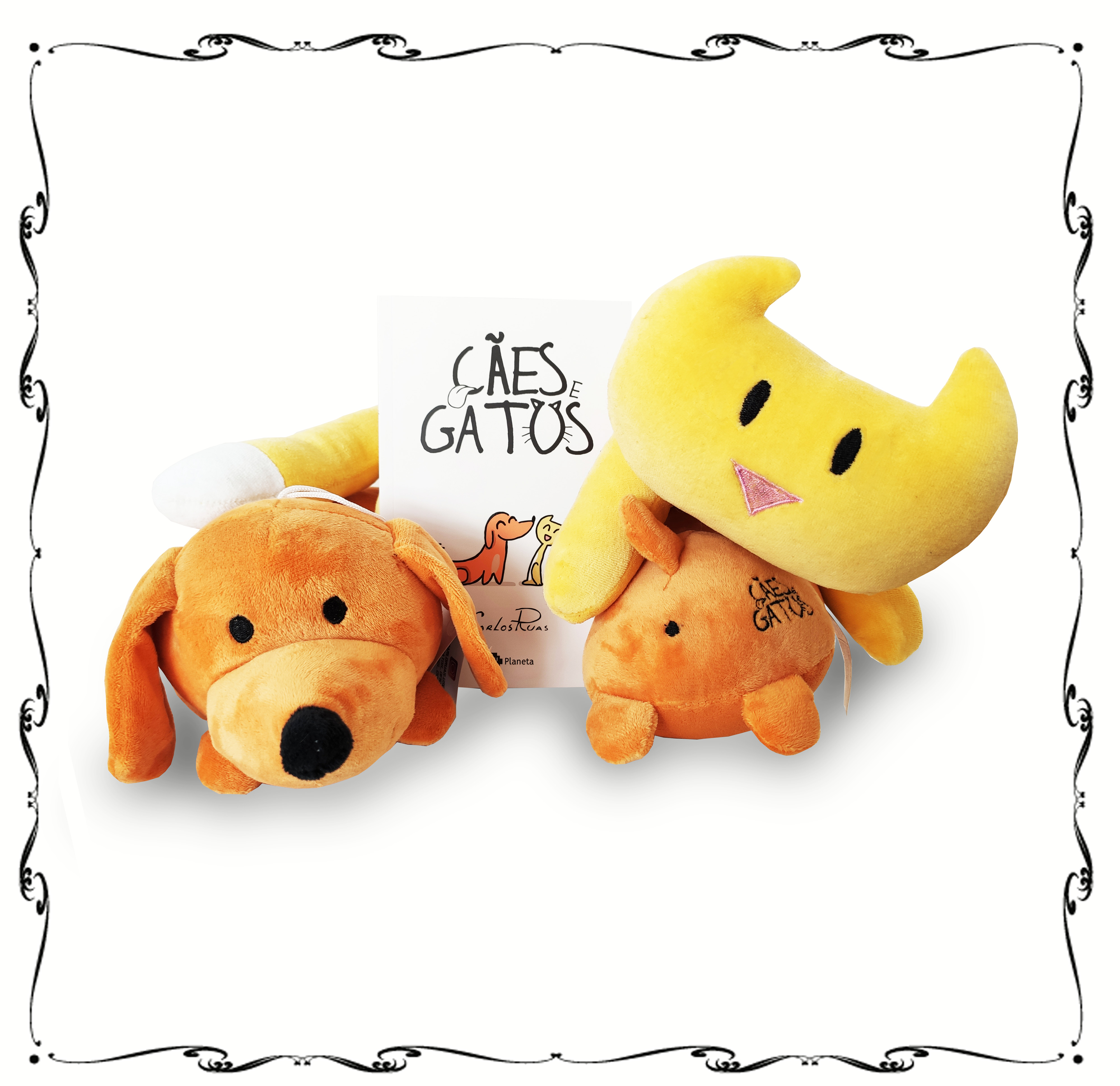 Kit 4 - Gato, Cão e Livro