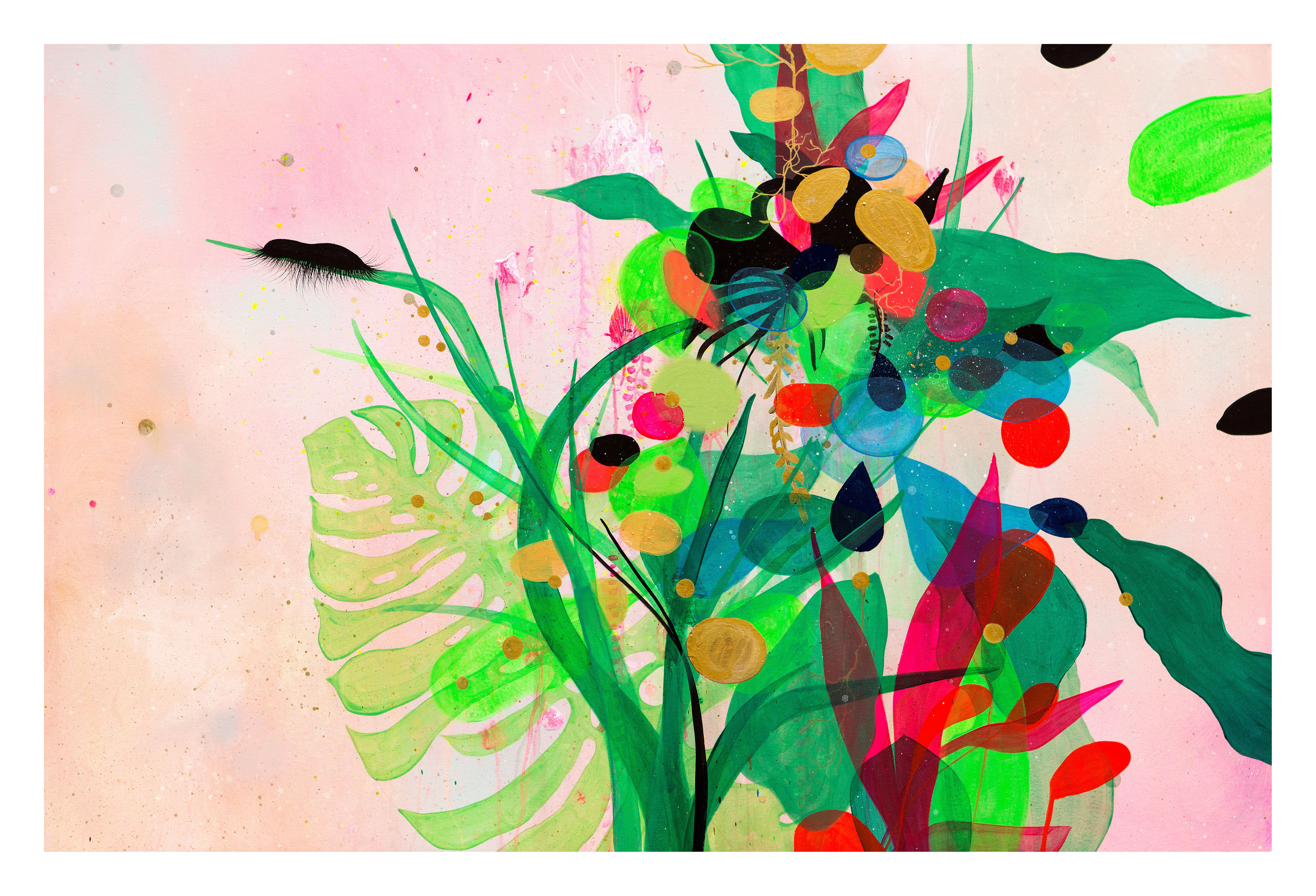 Arte pelo Pantanal | Catarse
