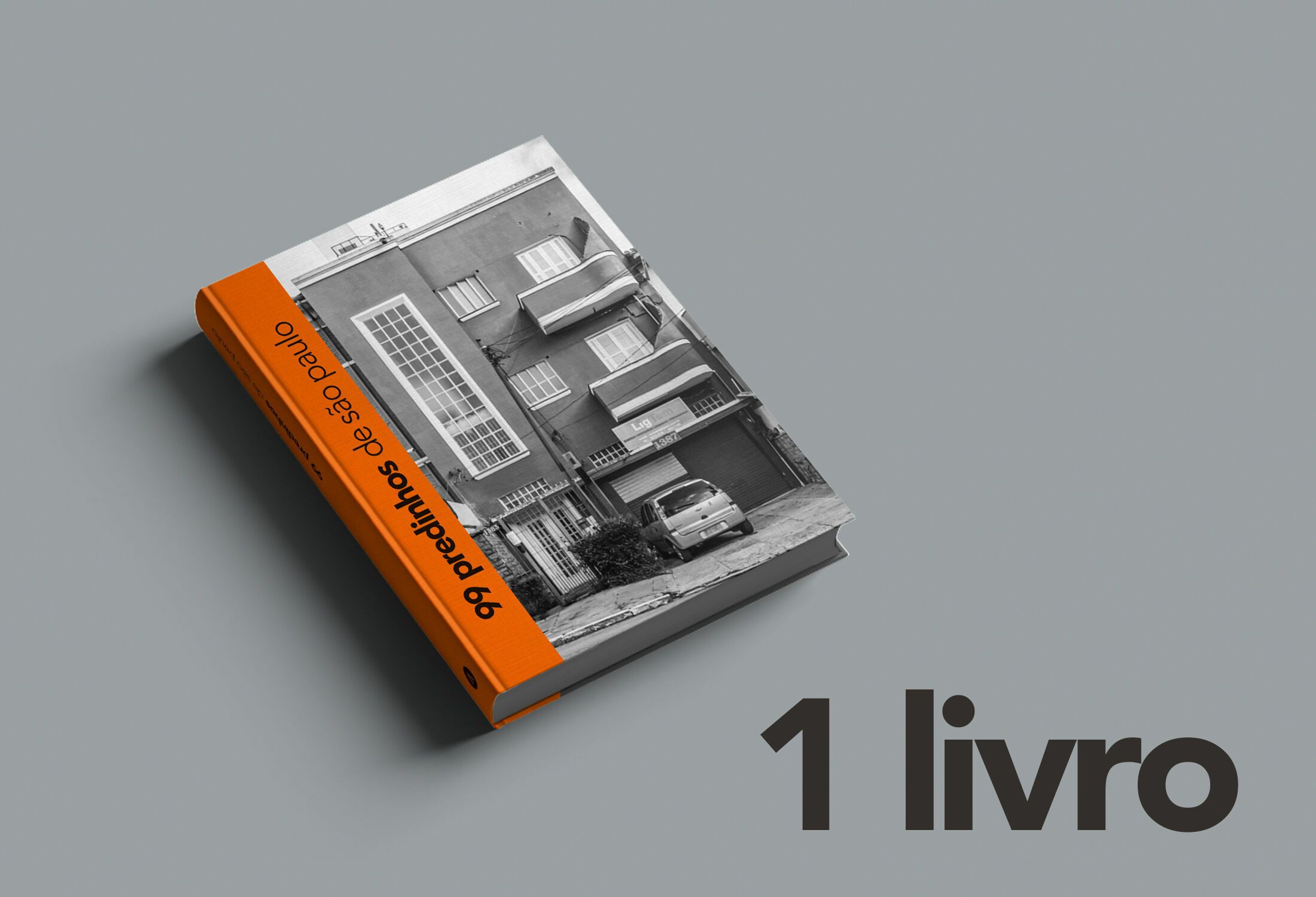 1 Livro 99 Predinhos