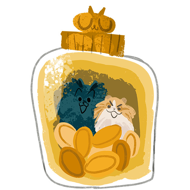Membership Tier