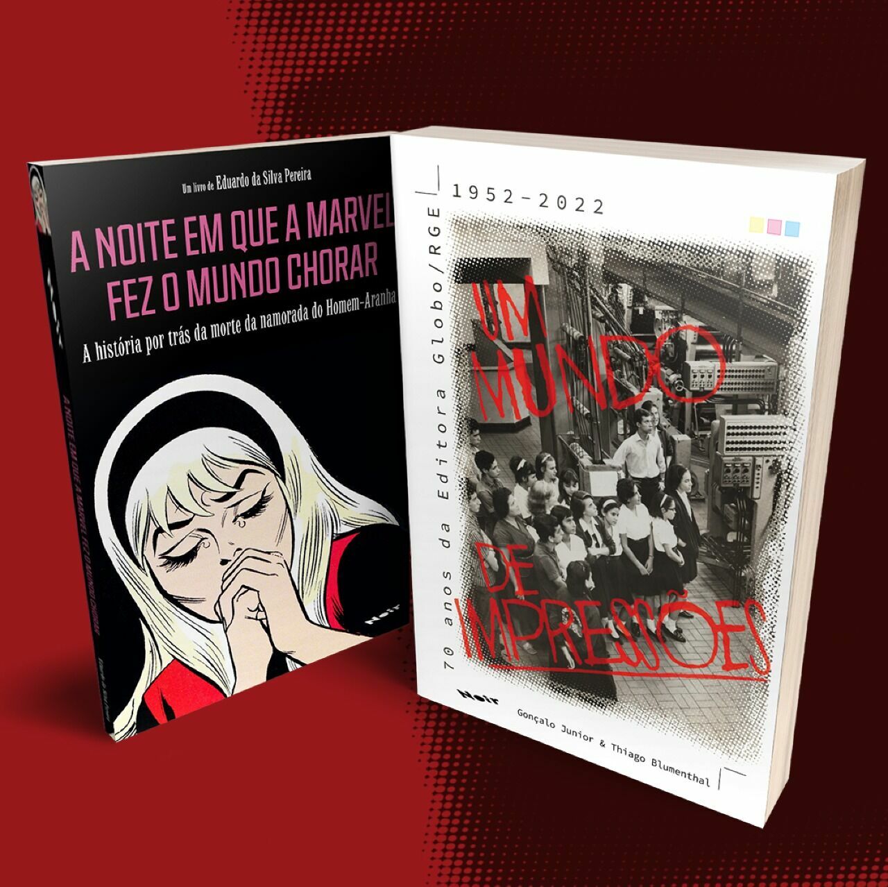 DOIS LIVROS COM DESCONTÃO E FRETE GRÁTIS