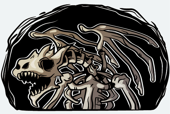Membership Tier