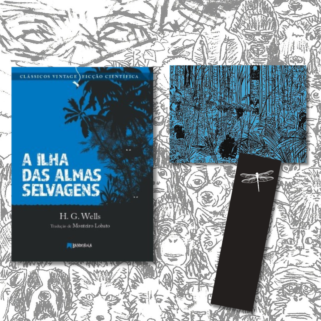 Opção LIVRO + mimo literário