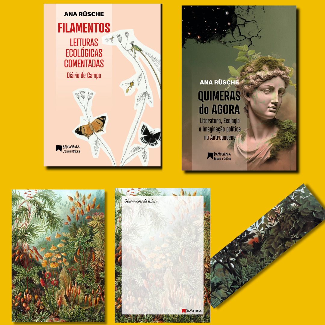 Opção mimos literários + QUIMERAS DO AGORA + FILAMENTOS