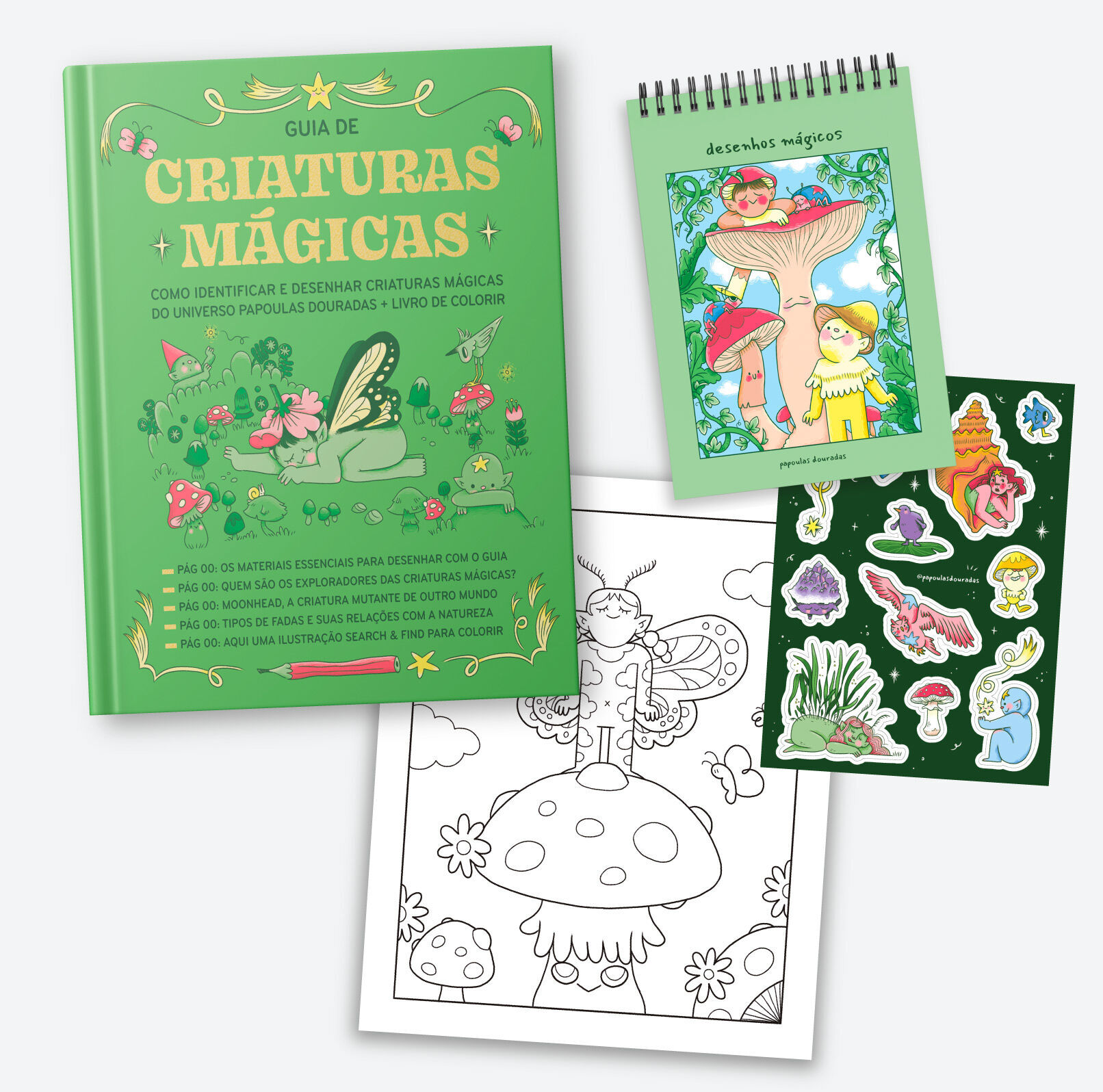 Kit Livro Impresso + Brindes