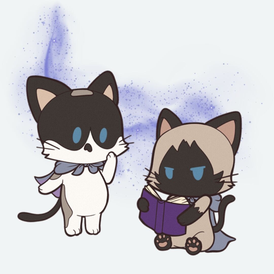 Membership Tier