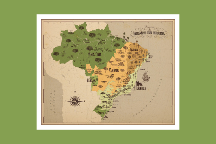 Mapa Biomas do Brasil · Catarse
