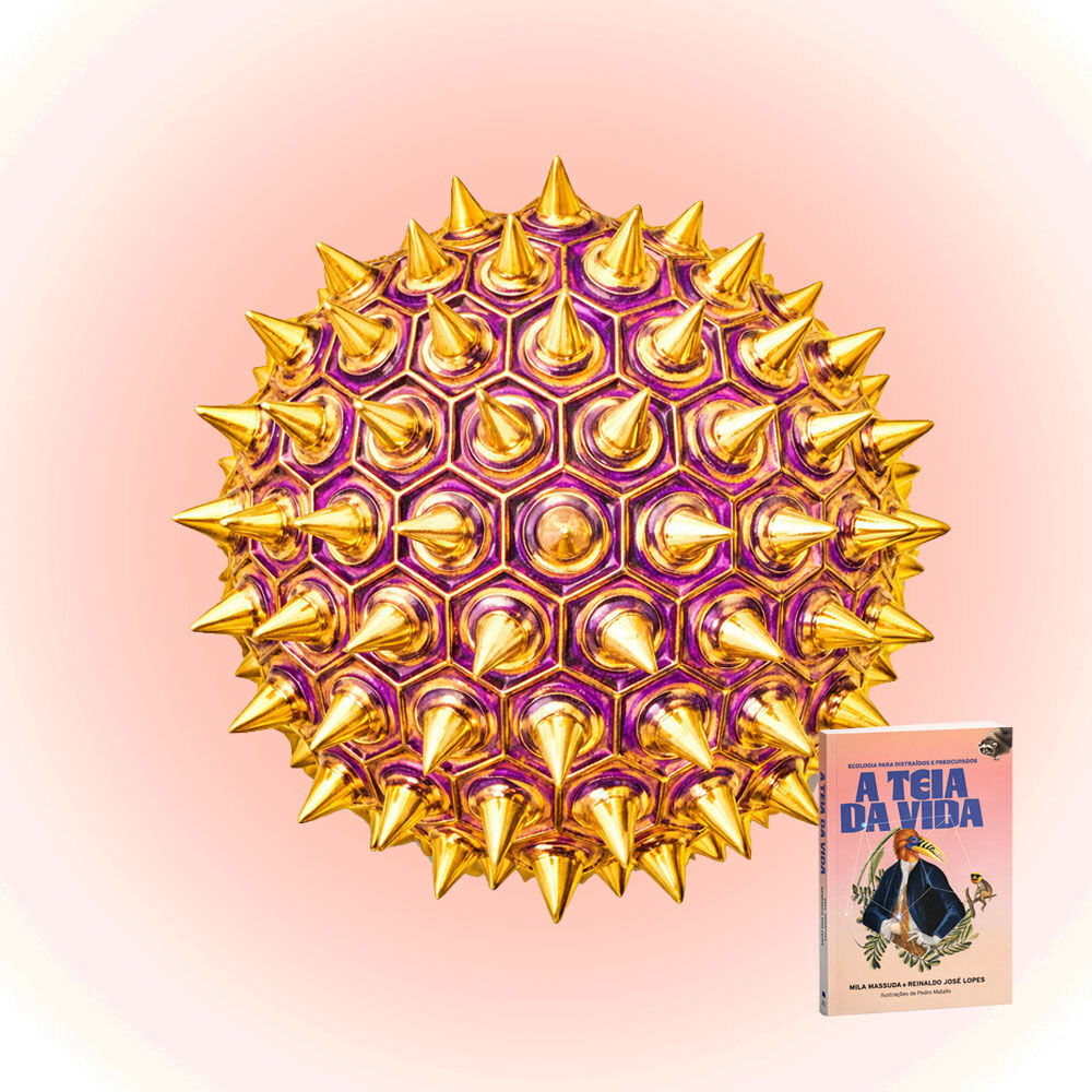 Livro + pin exclusivo (grão de pólen)