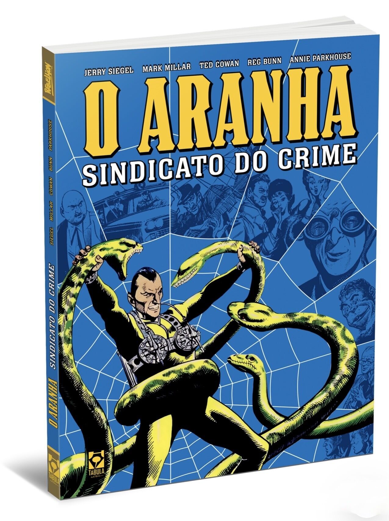 AS PRIMEIRAS ARANHAS 