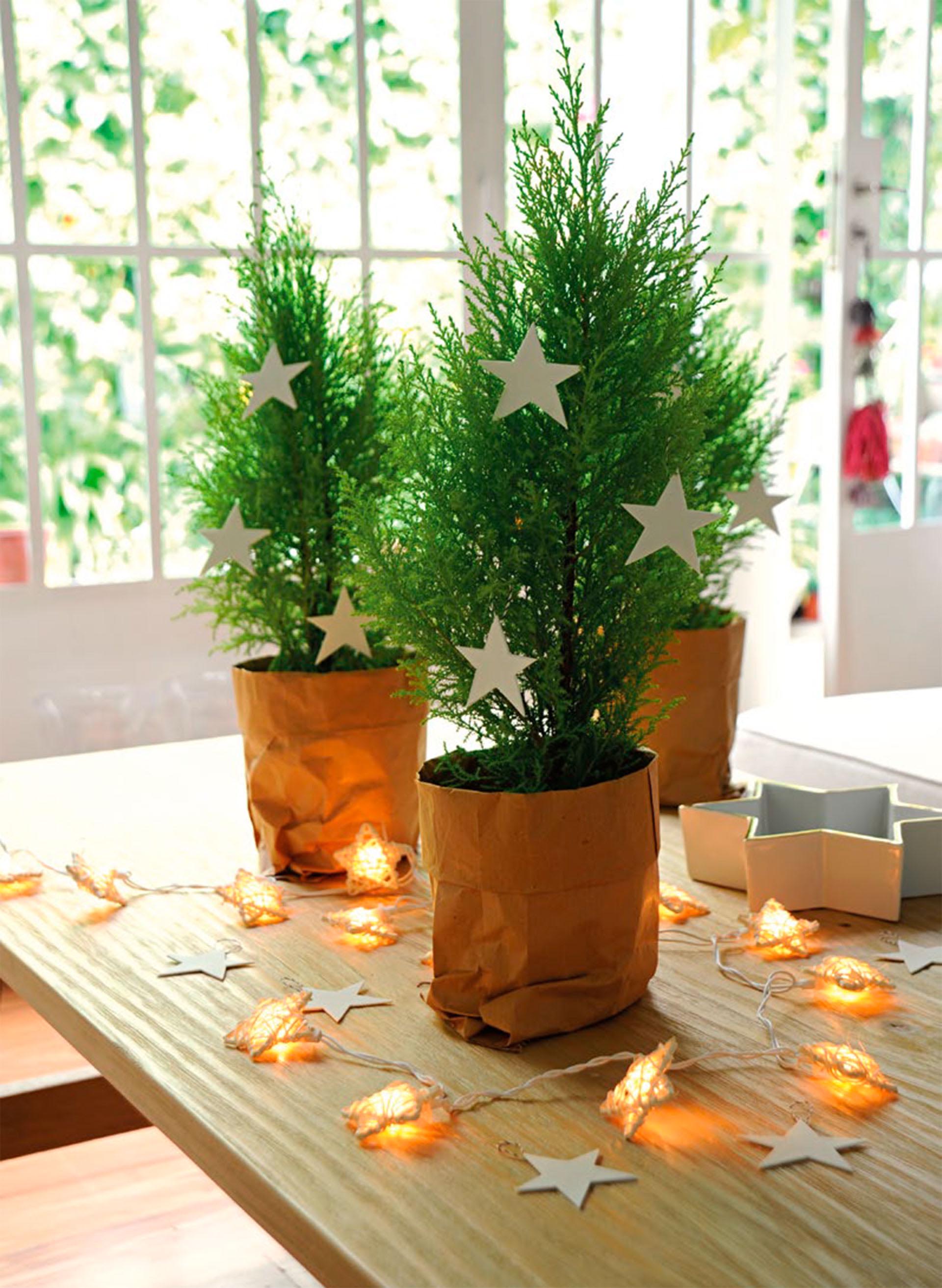 #parati-diy-1