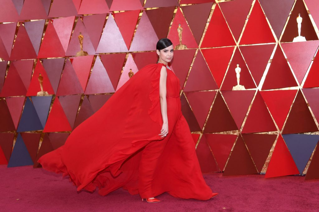 HOLLYWOOD, CA - MARCH 04: Sofia Carson attends the 90th Annual Academy Awards at Hollywood & Highland Center on March 4, 2018 in Hollywood, California. Kevork Djansezian/Getty Images/AFP