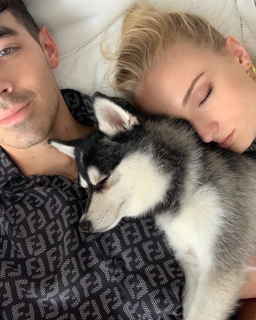 Joe Jonas