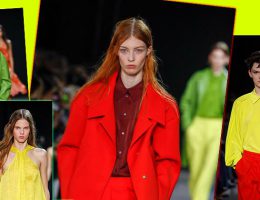 DESFILE ROCHAS