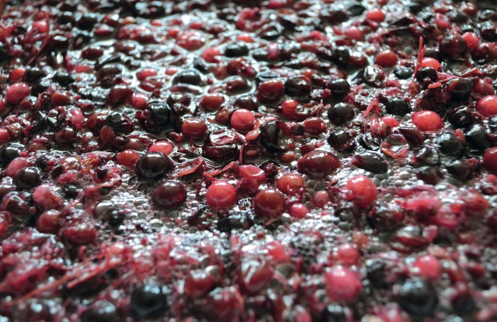 FERMENTACION COCINA GASTRONOMIA