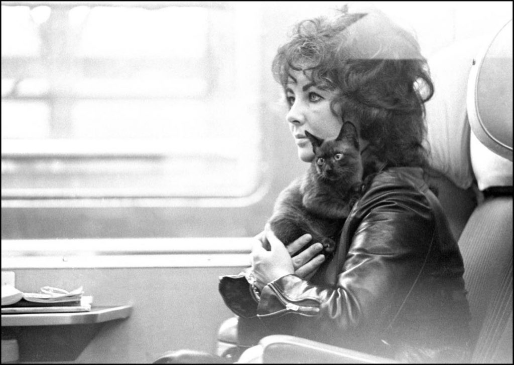 ELIZABETH TAYLOR