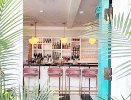 HOTEL ALEX VINASH